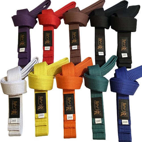 Tekka budo kampfsport gürtel - tekka,